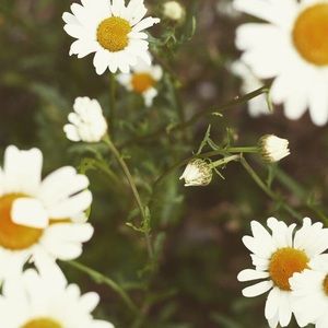 Meet your Posher, Robbi